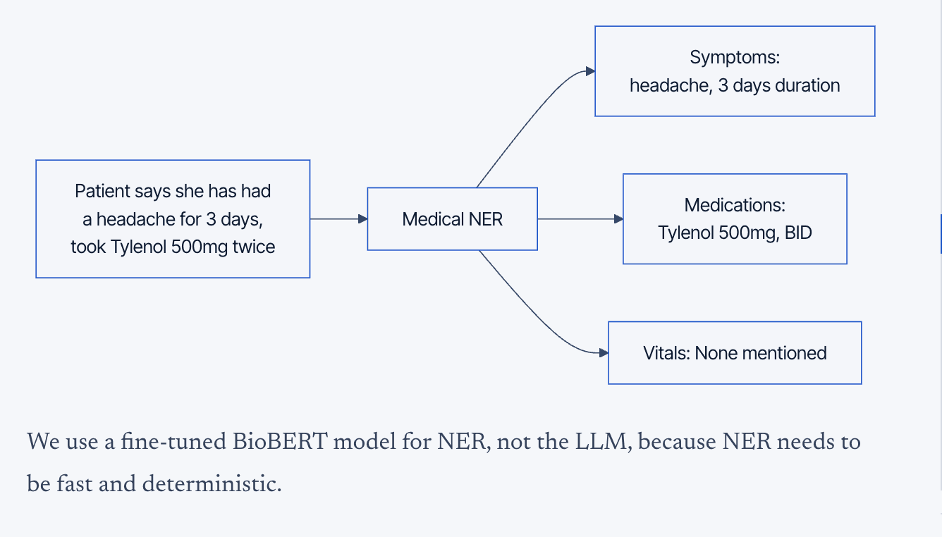 Medical NER for Structured Extraction